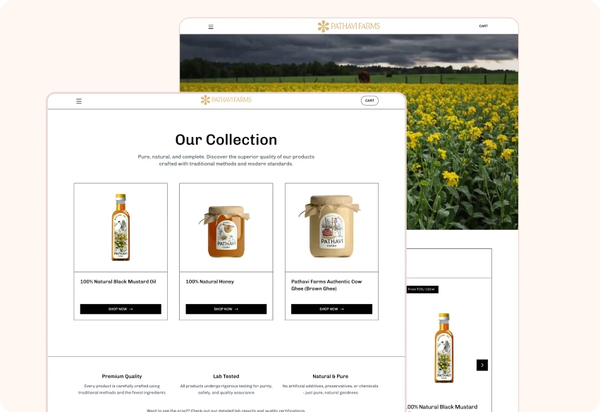 The collection page before the redesign